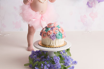 Baby Girl Milestone One Year Cake Smash Pink Purple Blue