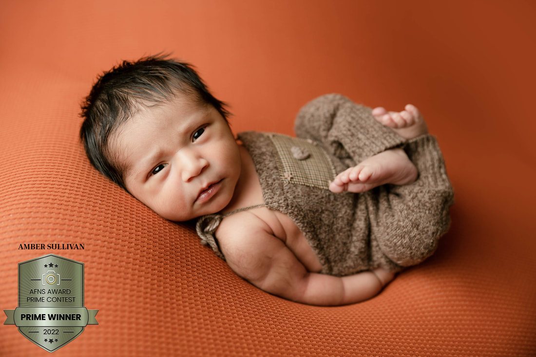 top newborn photographer ft collins
