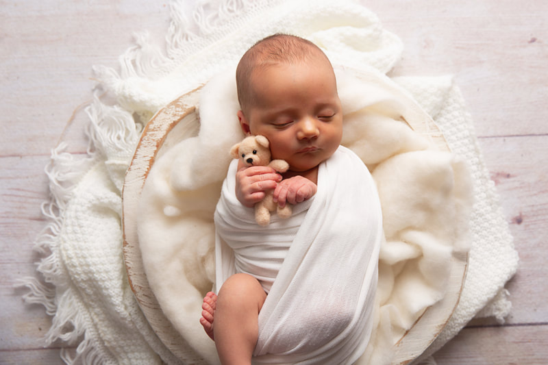 Newborn Baby Boy Studio Posed Windsor Fort Collins