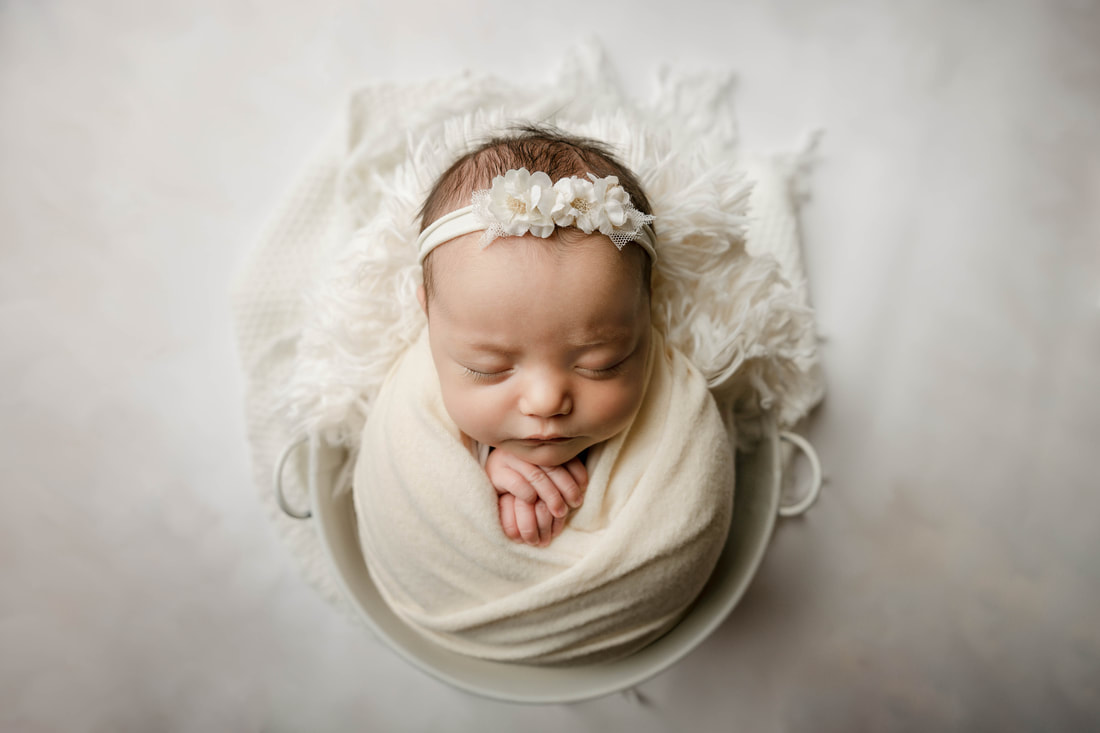 Newborn Northern Colorado Photographer Studio Baby Twins