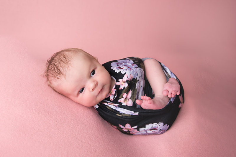Newborn Baby Girl Studio Posed Windsor Fort Collins