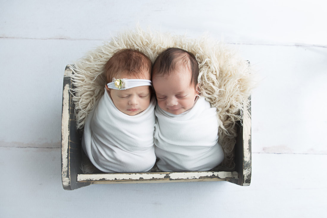 Newborn Northern Colorado Photographer Studio Baby Twins